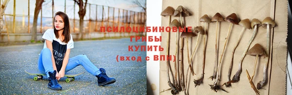 мет Рославль