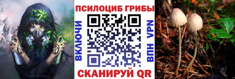 Псилоцибиновые грибы прущие грибы  Советск 