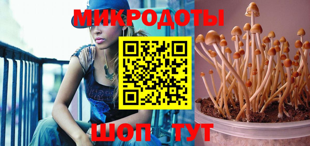 Псилоцибиновые грибы MAGIC MUSHROOMS  Вход с VPN  Советск  Псилоцибиновые грибы Psilocybe 
